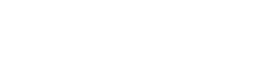 Weizenbaum Institute Logo